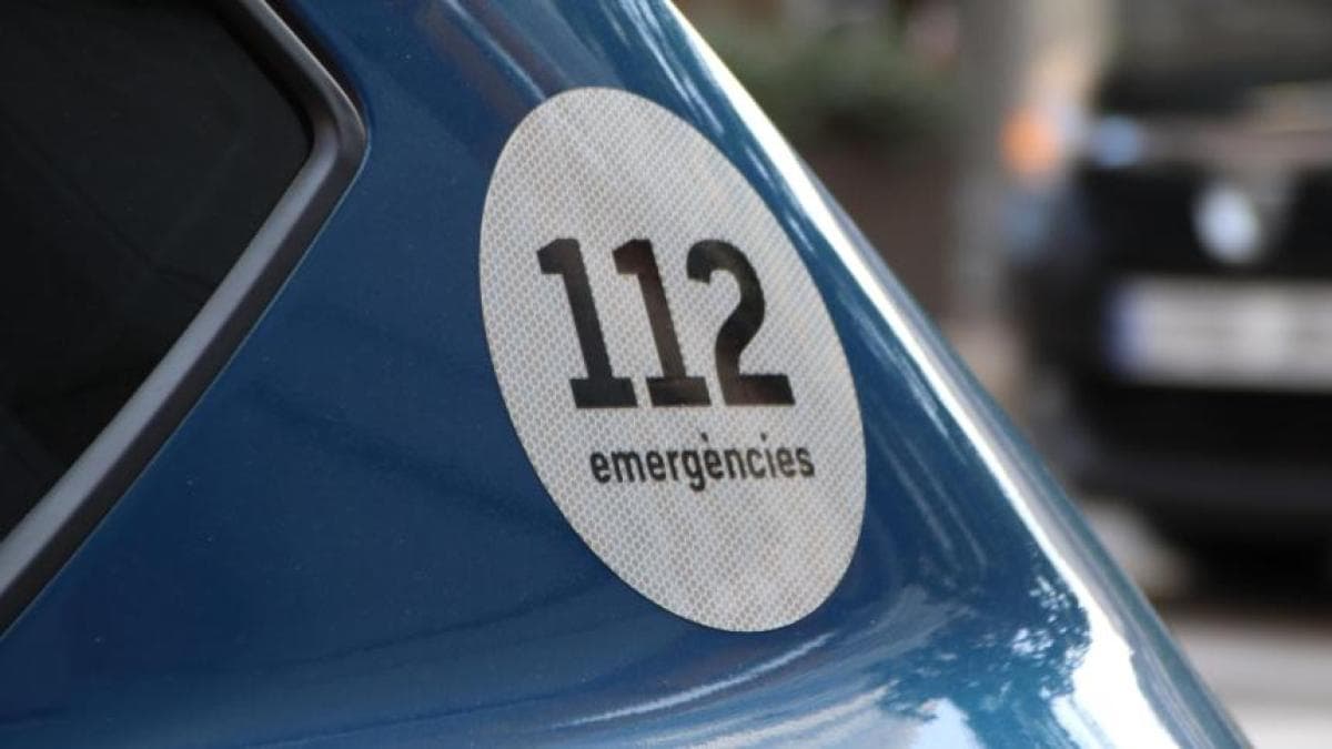 La violencia que avergüenza a una sociedad: cinco detenidas por la brutal agresión a Miss Trans Zamora