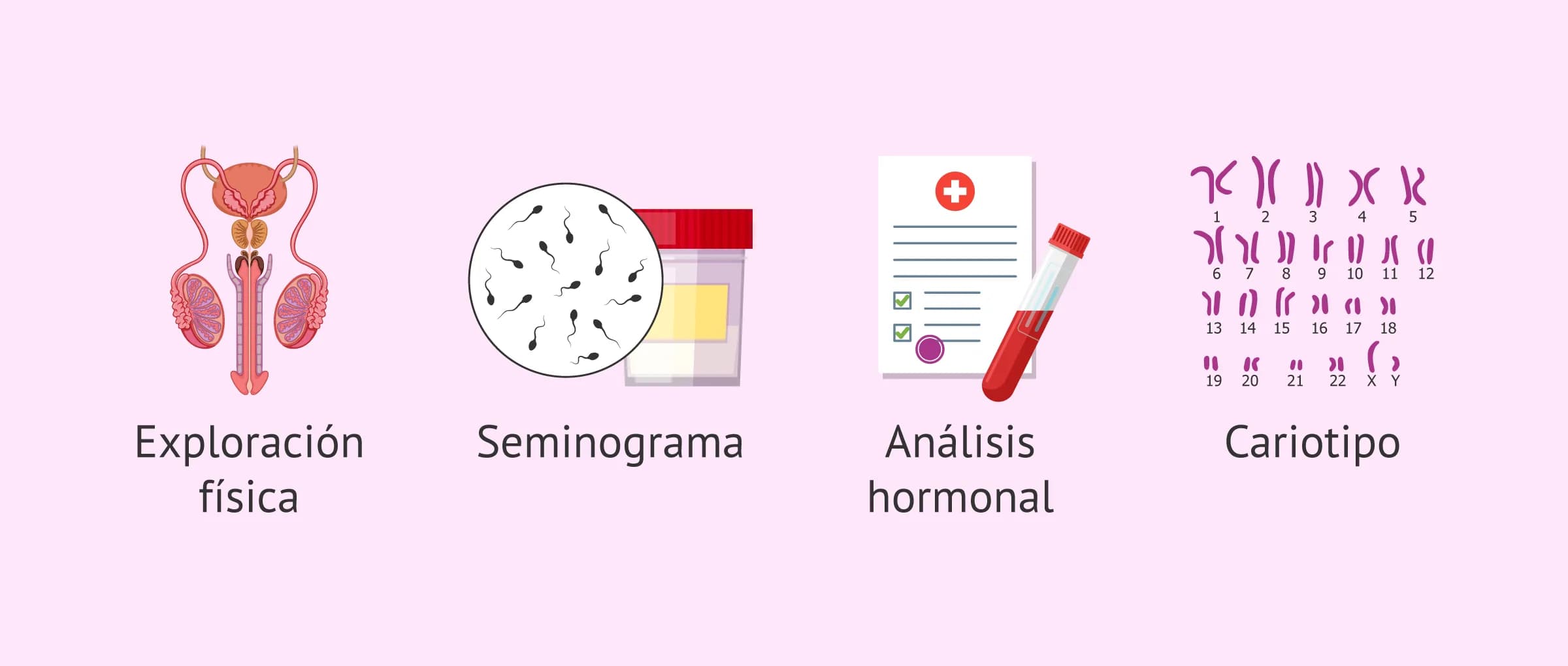 Herencia milenaria: por qué seguimos atados a 60 minutos