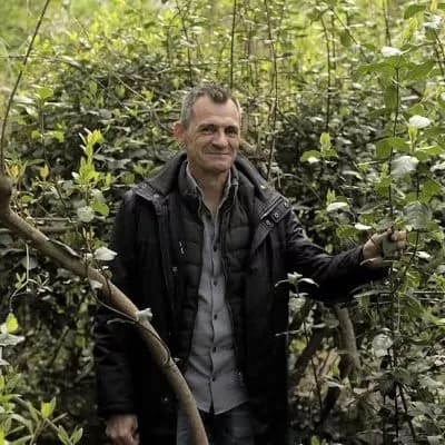 Sembrar sombras, cultivar civismo: Torrevieja avanza con raíces firmes