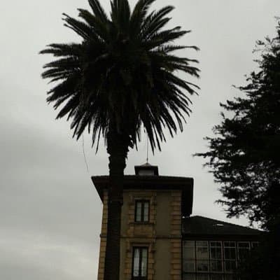 Kitchen vuelve a abrir la herida que expulsó al PP del poder