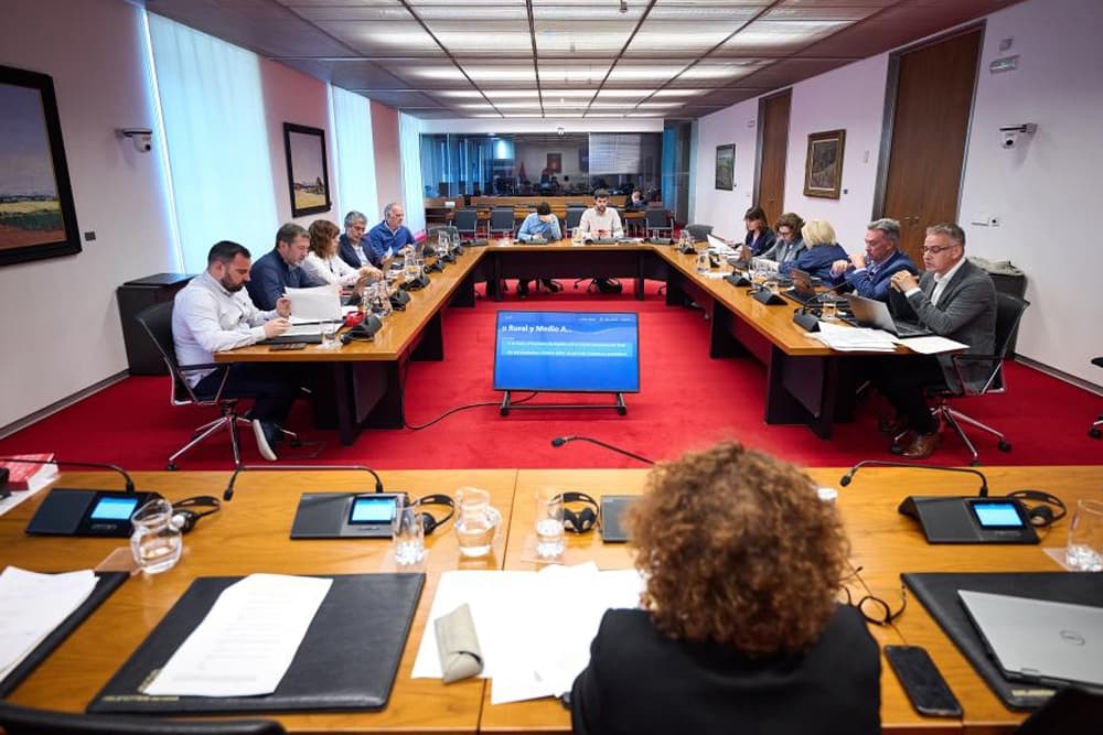 El PP evita el choque con Vox y renuncia al debate sobre la 'prioridad nacional'