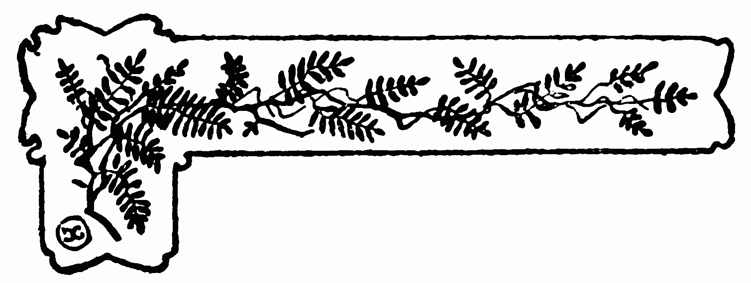 La poesía resiste: firma de 'Bajo el cadáver del poema' en Torrevieja