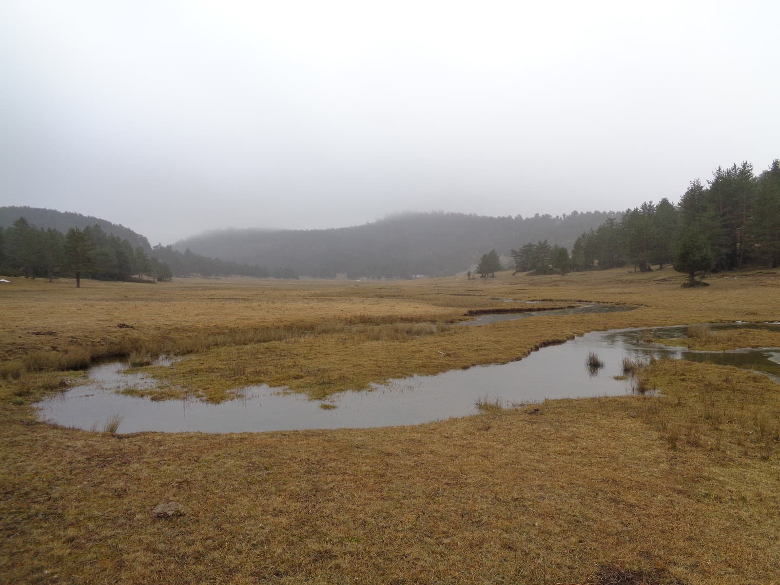 Andalucía: la marea conservadora resiste y desnuda la fragilidad del PSOE