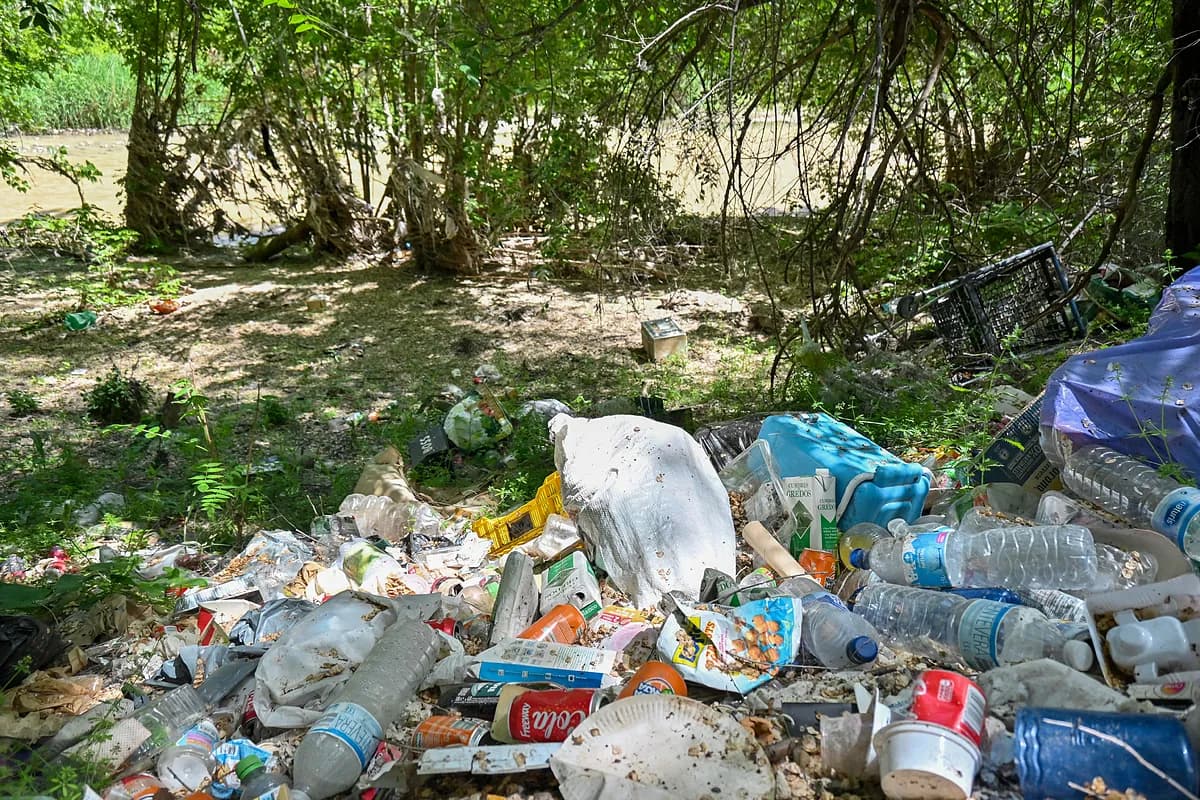 El Jarama asfixiado: abandono y basura junto a la A-2