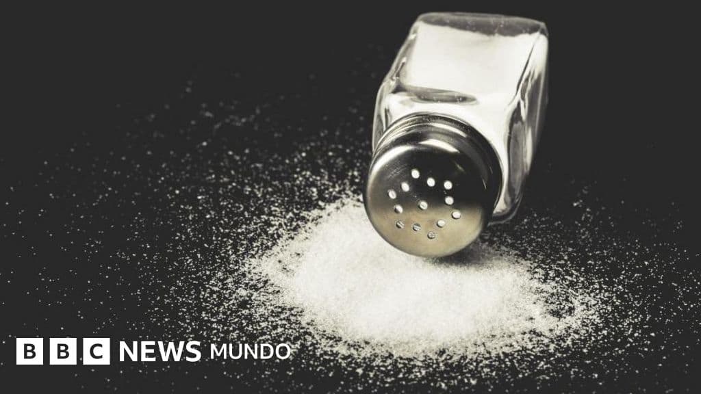 La sal: el pequeño tirano que gobierna nuestro sabor y, en silencio, nuestra vida