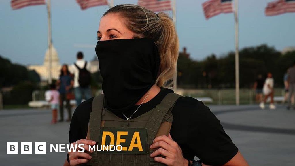 Tenemos pandillas, no capos: la verdad incómoda sobre las drogas en EE.UU.