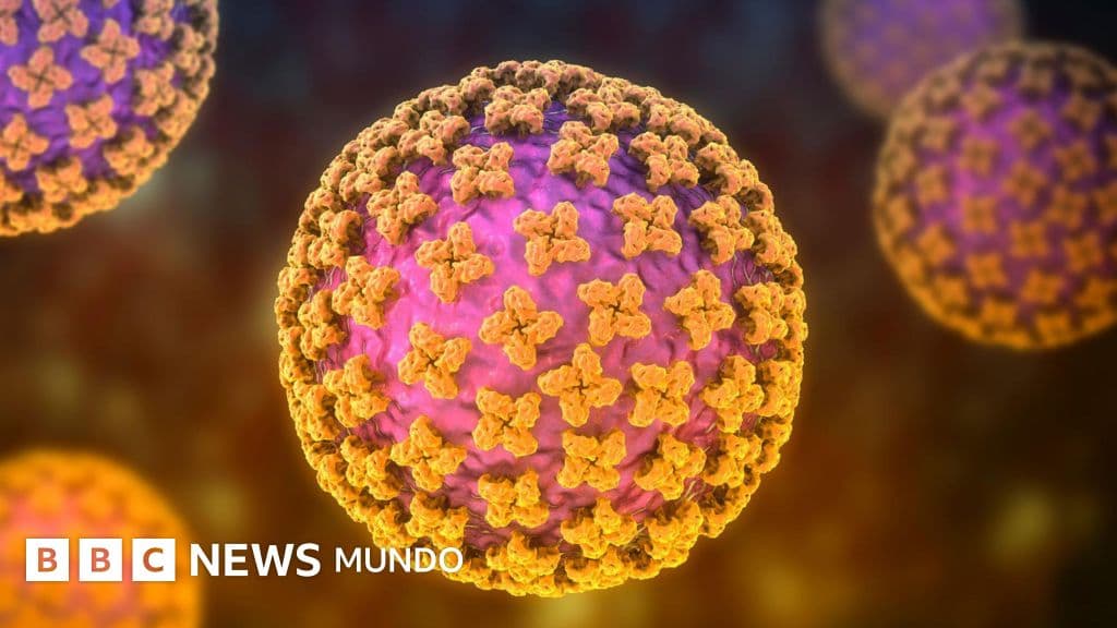 Tres muertos en un crucero: el hantavirus reclama atención y obliga a mirar al sur