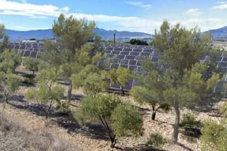 La Generalitat da luz verde a Kenerjona I: energía, tierra y tensiones locales