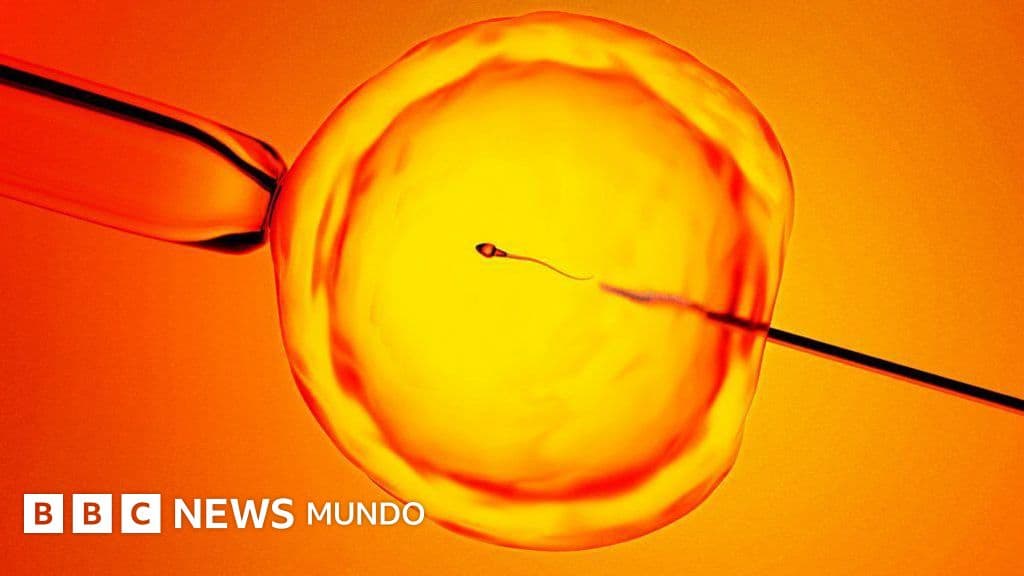 La IA que recupera la esperanza: cuando la ciencia encuentra espermatozoides ocultos
