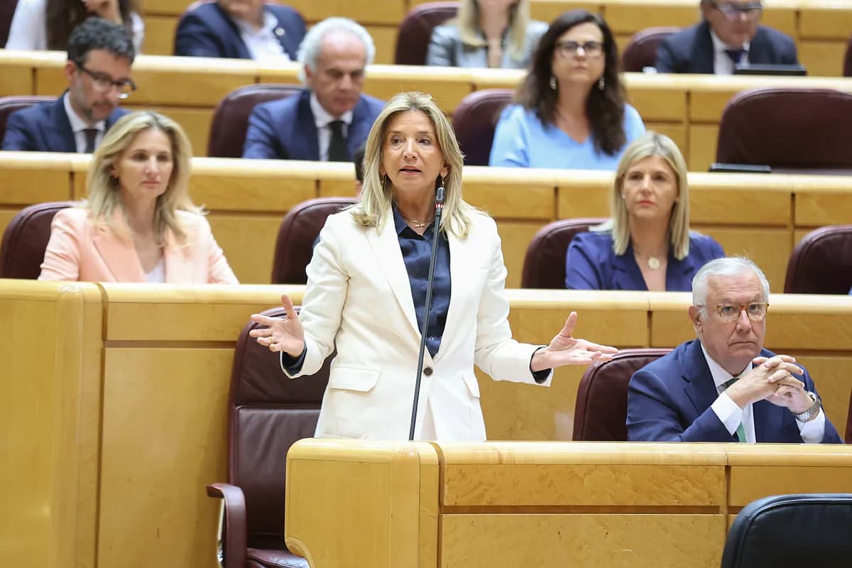 La fuga del Ejecutivo: el Senado popular no se resigna
