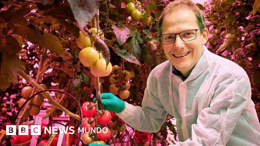 Lecciones de un 'food valley': cómo la pequeña Holanda venció con ciencia y cooperación