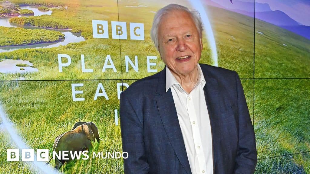 Cuando la curiosidad cambió el mundo: Attenborough y la odisea que reinventó la naturaleza en la pantalla