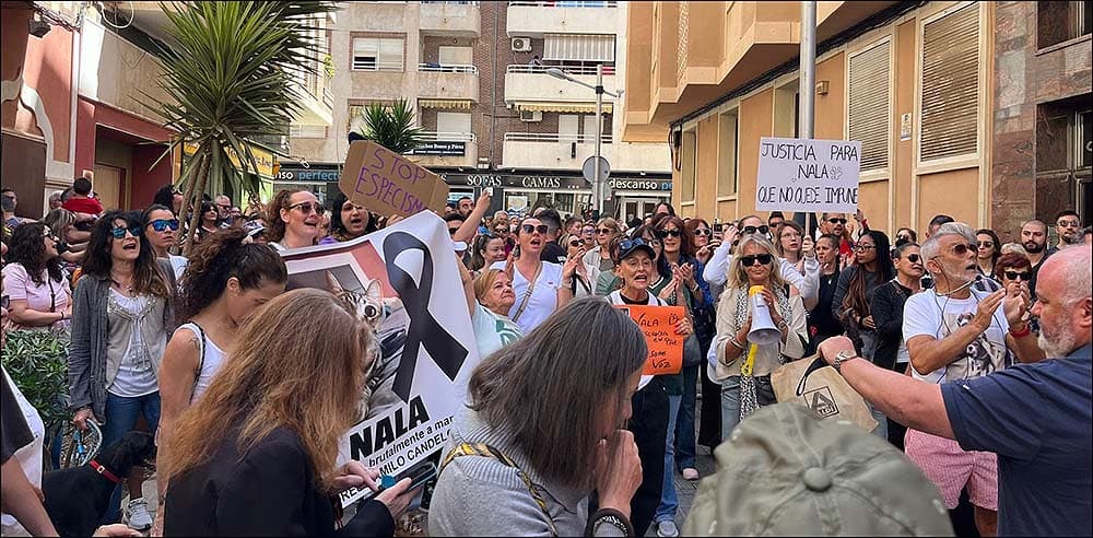 Torrevieja dice basta: la ciudad alza la voz contra la crueldad animal