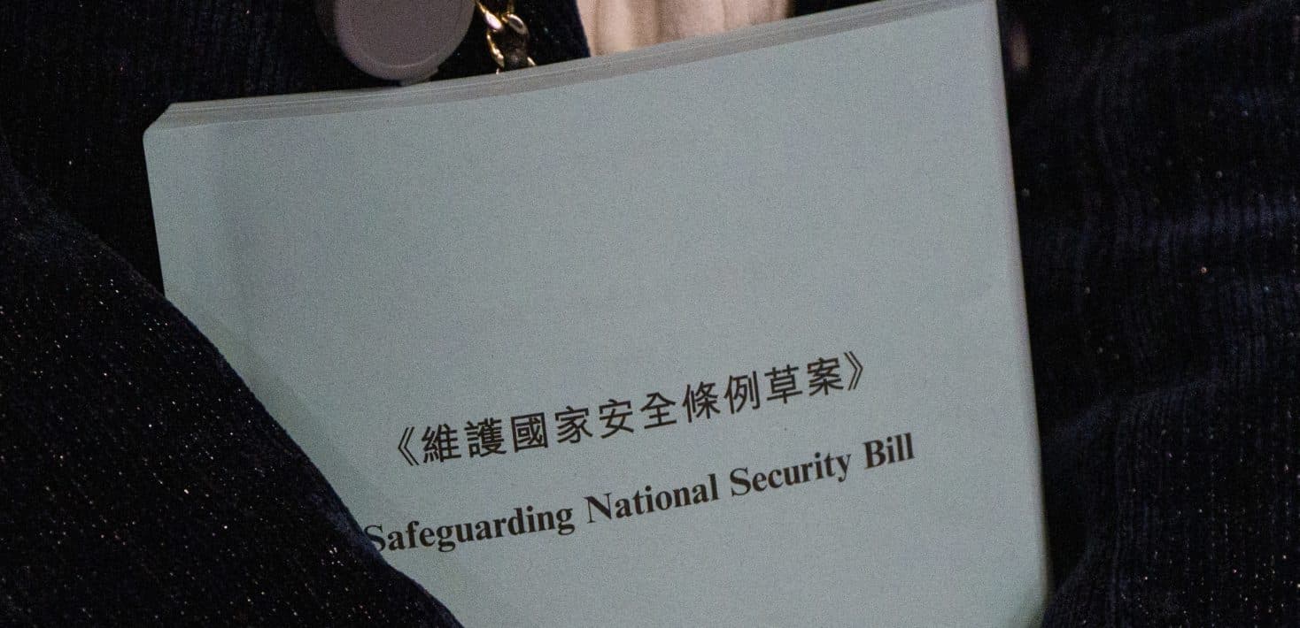 Tráfico de vida: 2.000 hormigas y una red que prueba la fragilidad de nuestras fronteras ecológicas