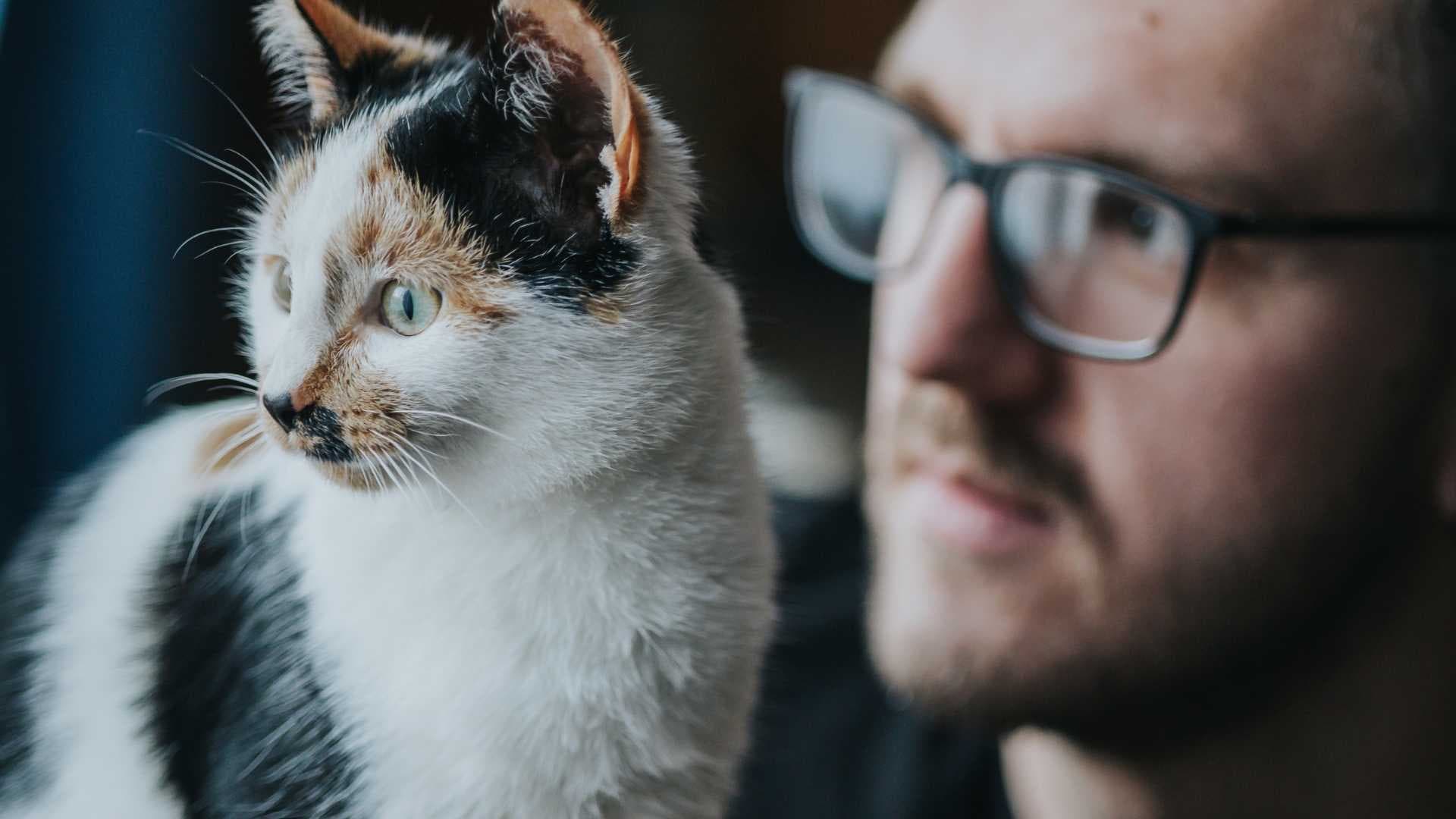 La doble faz del PP: silencio local, estridencia nacional