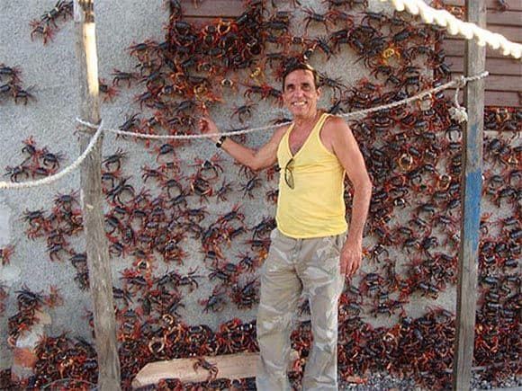 El veto legal que dejó sin horizonte al 'oro azul' venezolano