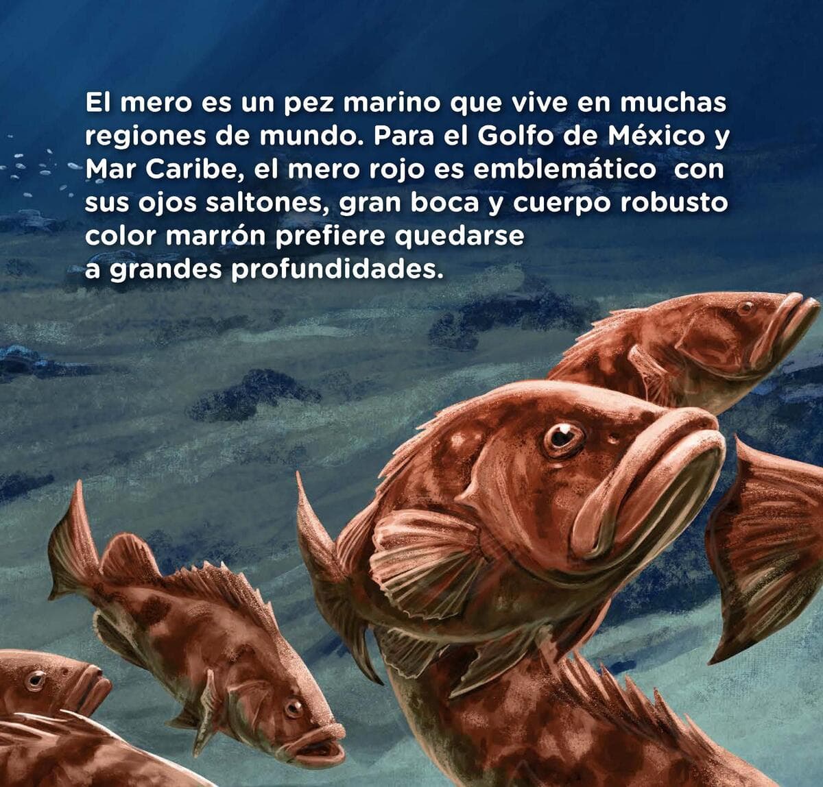 Alicia García exige cuentas: el fallo no fue un accidente sino un sistema