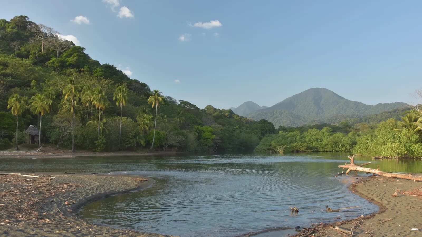 Cuando viajar sola deja de ser privilegio y se convierte en derecho: la seguridad que exigen las mujeres