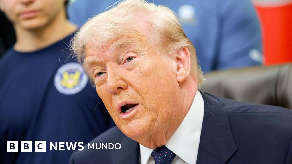 Pausa y paradoja: Trump detiene el Proyecto Libertad tras «grandes avances» con Irán