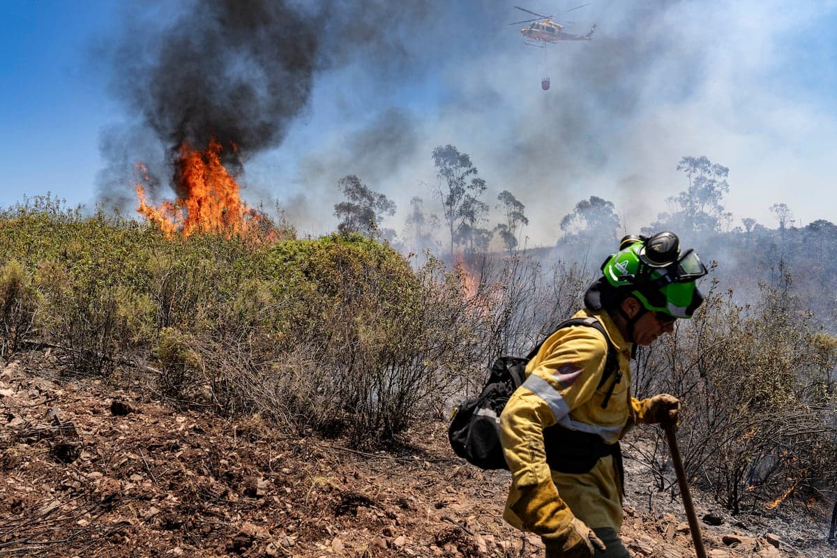 La defensa del territorio exige unidad: la UME en primera línea contra el incendio de Huelva